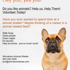 Winnsboro Animal Shelter is Recruiting