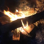 For the Love of Nature and Everything Outdoors, Experience Cooper Lake State Park in February