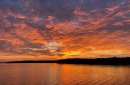 Celebrate Texas State Parks Day with Free Admission November 3, 2024