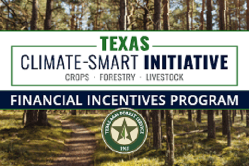 TCSI-Image Financial incentives program aids forestry climate solution practices