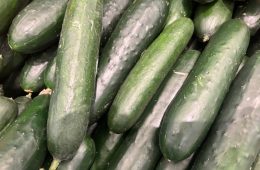 Paxton Investigates Chlorine Based Sanitizer Sprayed on Organic Foods