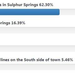 City Council Election Issues: Results of the Poll