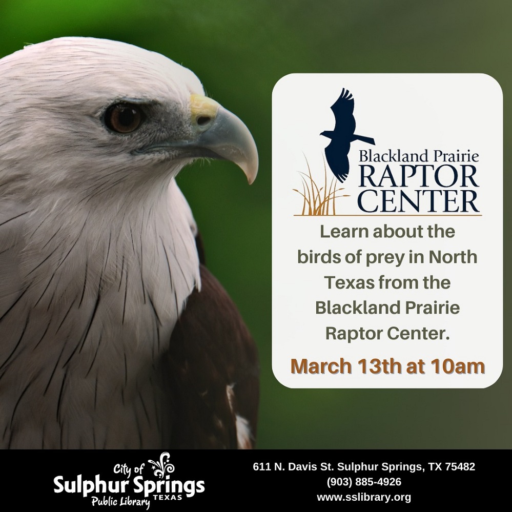 Sulphur Springs Public library Raptors