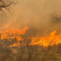 Energy Company Admits Equipment May Have Caused Wildfire
