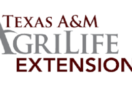 Master Gardeners at Work! By Master Gardener Ronnie Wilson