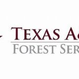 Texas A&M Forest Service, Lamar County Sheriff’s Office Warn of Timber Theft in County