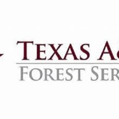 Texas A&M Forest Service Encourages Wildfire Preparedness ahead of Summer