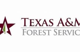 Texas A&M Forest Service, Lamar County Sheriff’s Office Warn of Timber Theft in County