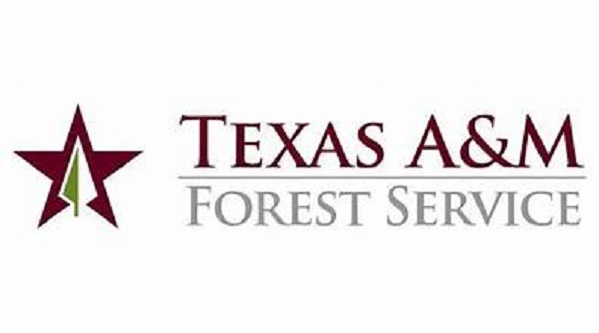 Texas A&M Forest Service logo
