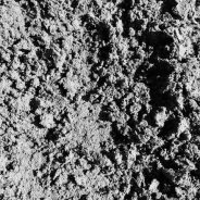 Texas Soil and Water Stewardship Week Recognizes the Soil as the Foundation of Life, Productivity, and Resilience across the State