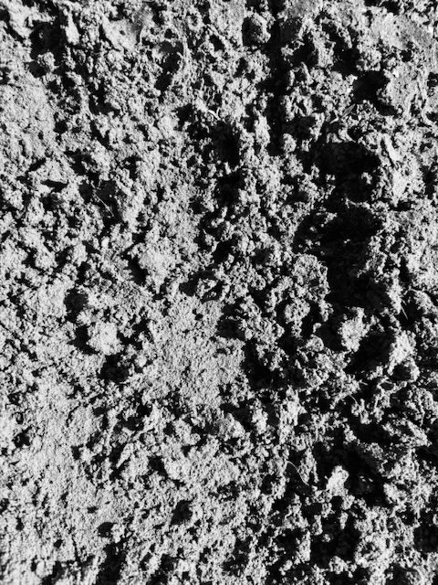pic of soil at KSST