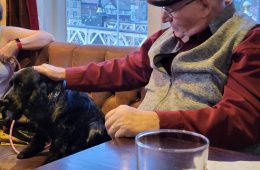 Psychiatric Assistance Dog v.s. Emotional Support Animal.  What’s the Difference?