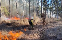 Hopkins County Rescinds Burn Ban