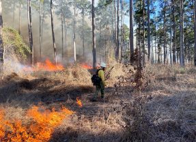 Hopkins County Rescinds Burn Ban