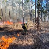 Governor Abbott Mobilizes Additional State Wildfire Response Resources Amid Ongoing Fire Danger