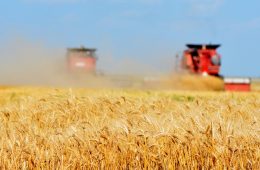 Texas Agriculture Commissioner Sid Miller Warns Farmers About Recent Fusarium Smuggle