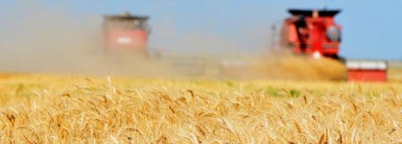 U.S. Secures $17 Billion Agriculture Deal with China, Boosting Texas Farmers