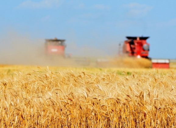 U.S. Secures $17 Billion Agriculture Deal with China, Boosting Texas Farmers