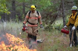 26TH Annual Wildfire Academy Begins This Week at Camp Swift