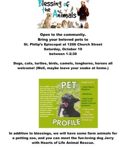 St. Philip’s Episcopal Church Invites the Community to Their “Blessing of the Animals” October 19th
