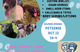 Adoption Event at Petsense in Sulphur Springs on Saturday