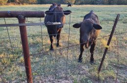 Welding Outdoors in Drought Conditions