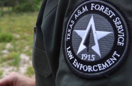 Suspect Arrested on Charge of Timber Theft in Liberty County