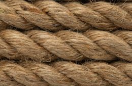 Government Shutdown Over: Same for THC in Texas