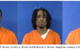 Trio Arrested After Van Zandt Feed Store Robbed