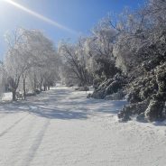 Governor Abbott Activates State Emergency Response Resources Ahead Of Severe Winter Weather