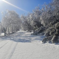 Governor Abbott Activates State Emergency Response Resources Ahead Of Severe Winter Weather