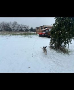 Steps to Take to Prepare for Cold Snaps on This Second Cup Of Coffee