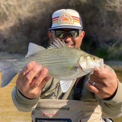 Ray Roberts Lake State Park Welcomes the 2025 Bassmaster Classic March 21-23