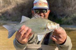 Ray Roberts Lake State Park Welcomes the 2025 Bassmaster Classic March 21-23