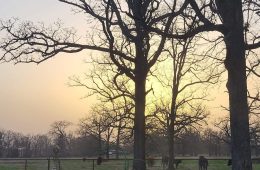 Dust Storms and Distant Fires Created a Colorful Sunset on Friday