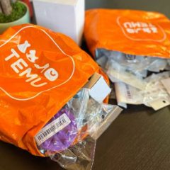Temu and Shein Set to Raise Prices