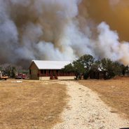 Wildfire Awareness Month Highlights Proactive Safety Strategies