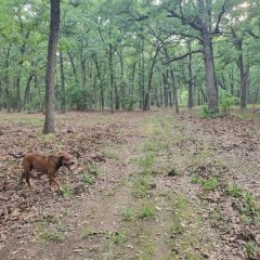 Neighboring Hunt County Receives Portion of $6.8 Million in Grants