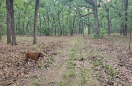 Neighboring Hunt County Receives Portion of $6.8 Million in Grants