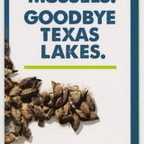 National Invasive Species Awareness Week is Feb. 23-27; TPWD Urges Texans to Help Prevent Harmful, Non-Native Plants and Wildlife