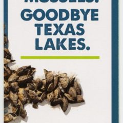 TPWD Highlights Importance for Boaters to “Clean, Drain, and Dry”