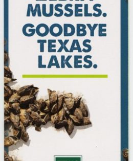 National Invasive Species Awareness Week is Feb. 23-27; TPWD Urges Texans to Help Prevent Harmful, Non-Native Plants and Wildlife