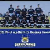 Members of the Sulphur Springs Wildcats Baseball Team Have Earned All-District 14-4A Honors