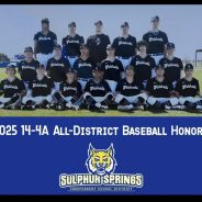Members of the Sulphur Springs Wildcats Baseball Team Have Earned All-District 14-4A Honors