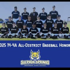 Members of the Sulphur Springs Wildcats Baseball Team Have Earned All-District 14-4A Honors