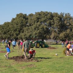 Texas A&M Forest Service Awards $4 Million for Community Forestry Projects