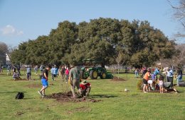 Texas A&M Forest Service Awards $4 Million for Community Forestry Projects