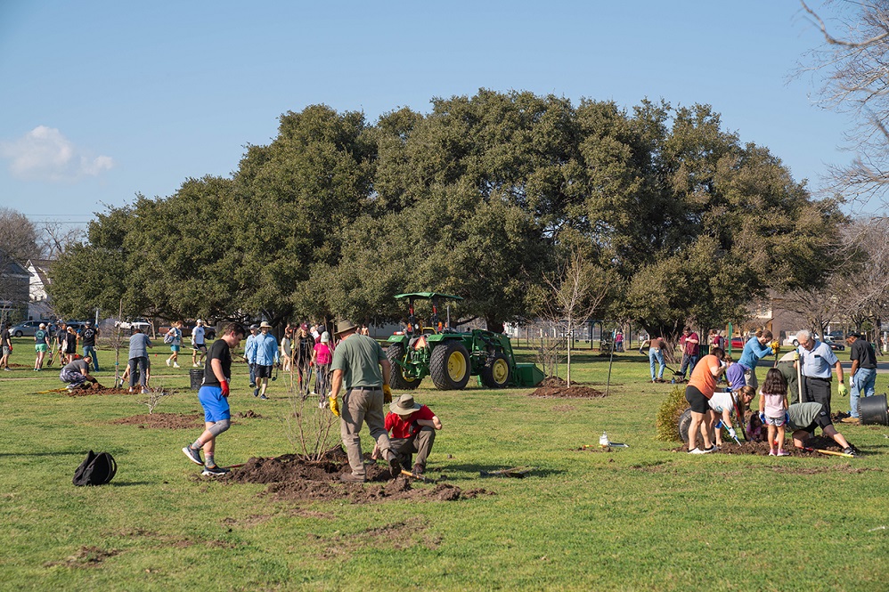 Texas A&M Forest Service awards $4 million for community forestry projects