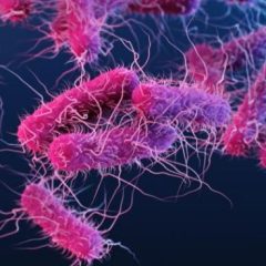 Enterococcus Levels Monitored On Texas Beaches This Summer