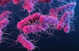 Enterococcus Levels Monitored On Texas Beaches This Summer